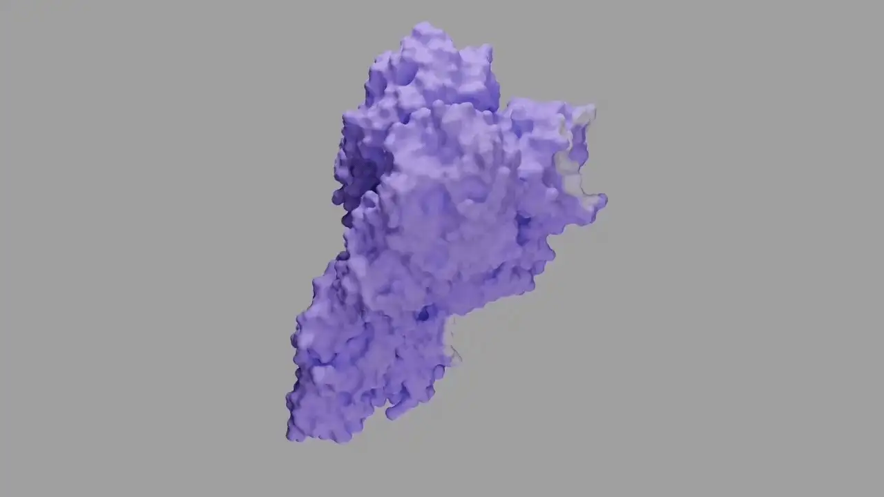 Chai 2
